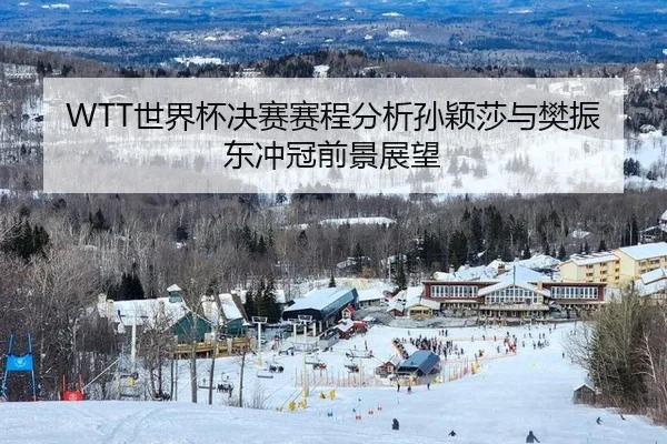 WTT世界杯决赛赛程分析孙颖莎与樊振东冲冠前景展望